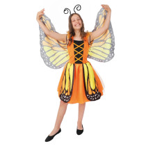 D&eacute;guisement Papillon Enfant : de 4 ans &agrave; 6 ans