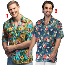 D&eacute;guisement &Icirc;les / Hawa&iuml;en / Tahitien