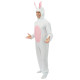 Déguisement Lapin