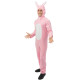 Déguisement Lapin