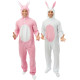 Déguisements Lapin + Déguisement Carotte