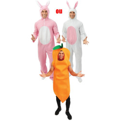 Déguisements Lapin + Déguisement Carotte
