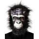Masques Animaux