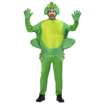 D&eacute;guisement Grenouille
