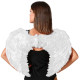 Ailes Ange