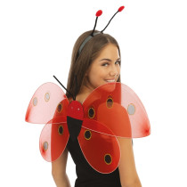 Set Coccinelle