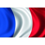 Drapeau France Tissu Géant