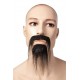 Moustaches + Bouc Chinois