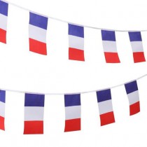 Guirlande Plastique Drapeaux Tricolores - 15 Drapeaux