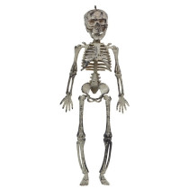 Déco Squelette 30 cm