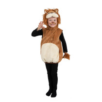 D&eacute;guisement Lion Luxe Enfant : de 3 ans &agrave; 4 ans