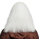 Perruque + Barbe Druide