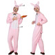 Déguisements Lapin + Déguisement Carotte