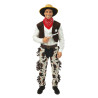 Déguisement Cowboy / Western