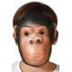 Masques Animaux
