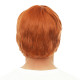 Perruque Homme