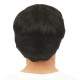 Perruque Homme