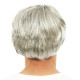 Perruque Homme