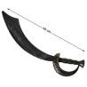Sabre Pirate