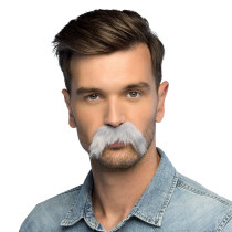 Grosses Moustaches Grises