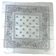 Bandana USA