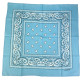 Bandana USA