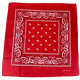Bandana USA