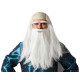Perruque + Barbe Druide